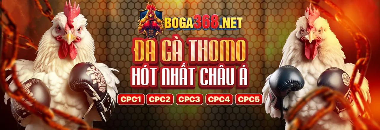 Sân đấu đá gà kịch tính tại kf94