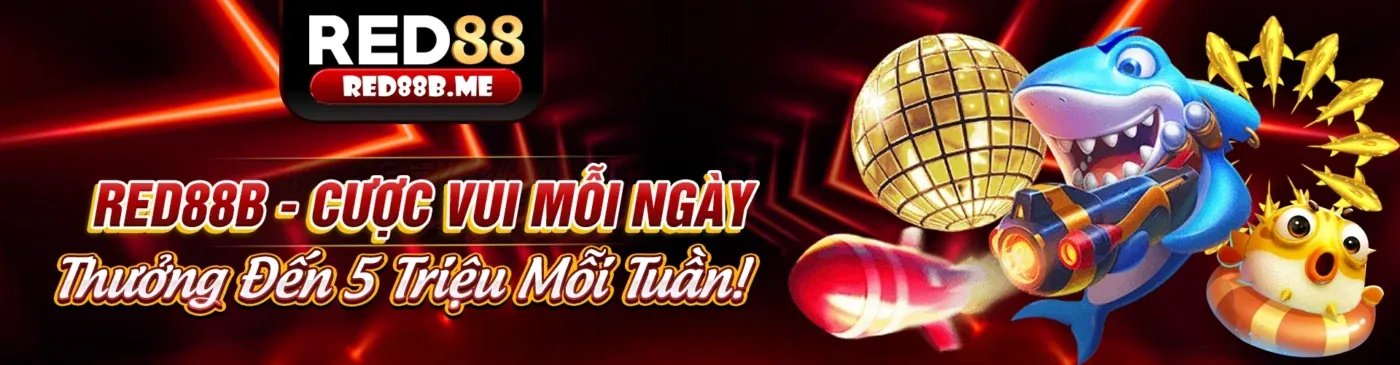 Hình ảnh chính kf94 trang chủ chính thức với các mẹo cá cược thể thao